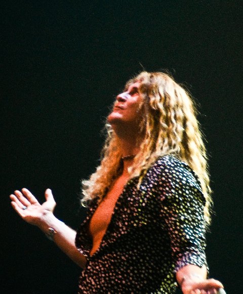 Zeppelin Live 408-483-5838